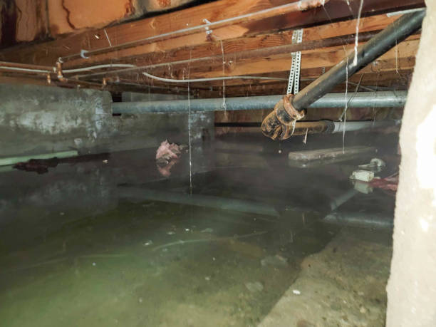 Best Flood damage cleanup  in Houston, PA