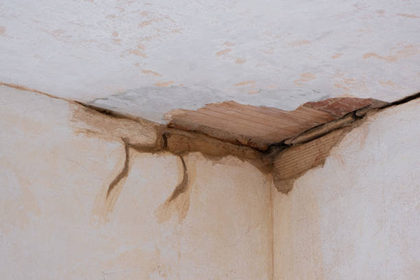 Best Flooded house restoration  in Houston, PA