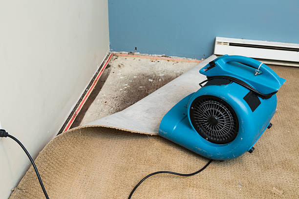 Best Ceiling water damage repair  in Houston, PA